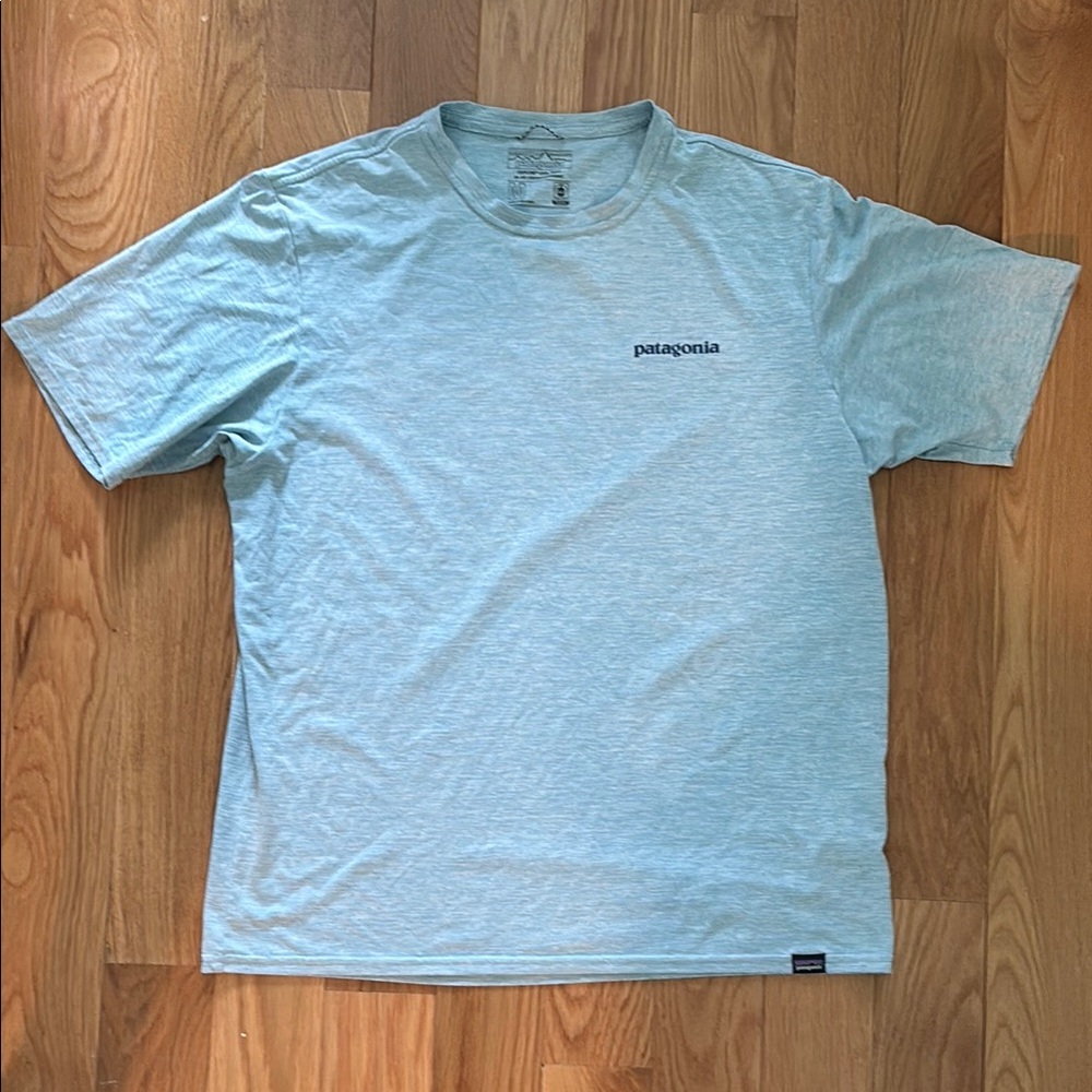 Patagonia Blue Short Sleeve Tee Casual Crew Neck